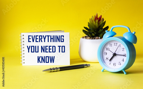 Everything you need to know. Motivational quote is written on a notebook, next to a cactus, an alarm clock and a pen on a yellow background. photo