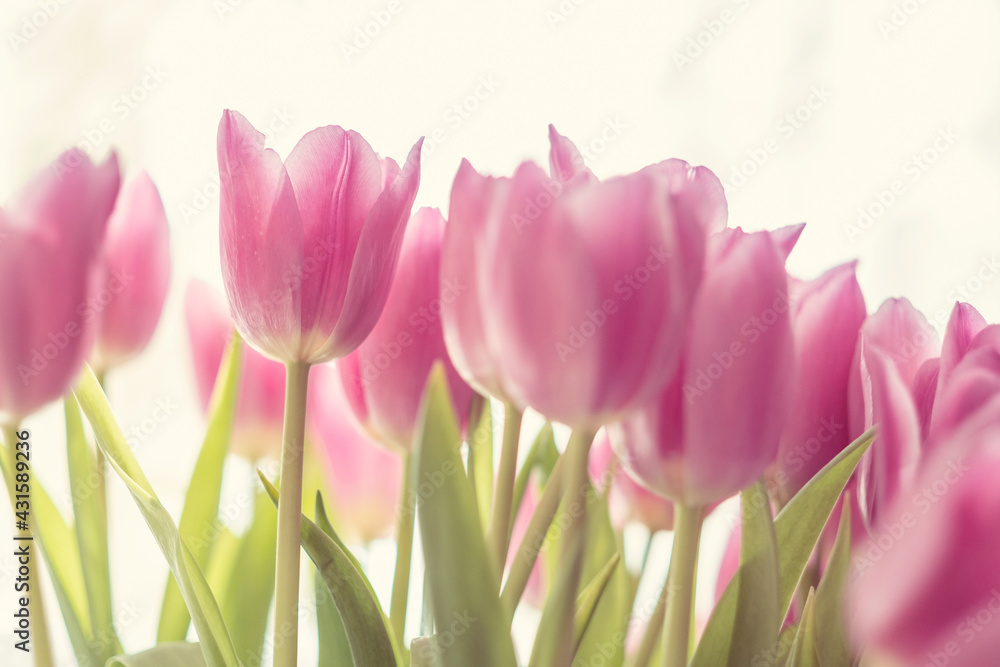 Flowers, spring holidays and home decor Bouquet of tulips Flowers, spring holidays and home decor Bouquet of tulips
