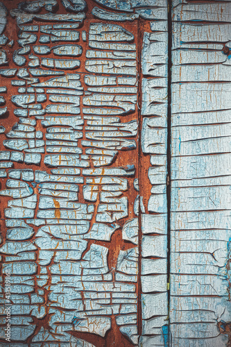 Fragment of a wooden door close-up. Old paint. Cracks in the old paint. Cracked paint on a wooden surface. The texture of the cracks. The texture of the old wood. Grunge texture. Blue background