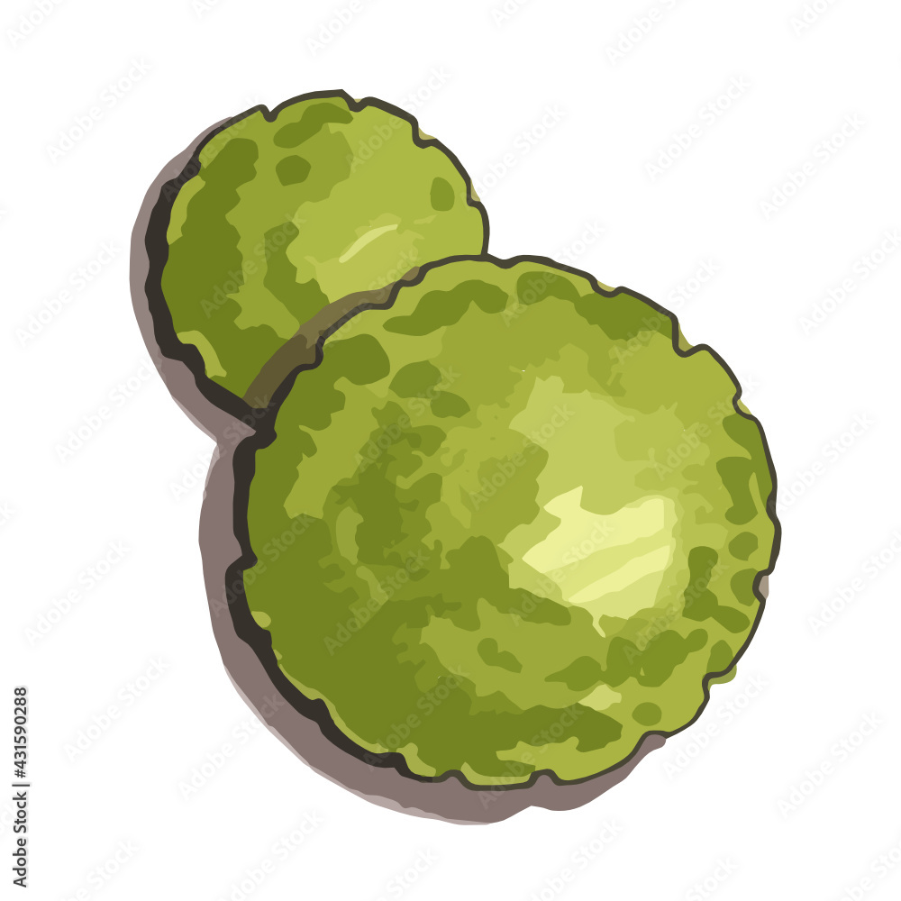 outline, stroke, silhouette, front, side, architectural, background, backyard, bush, collection, decoration, design, drawn, element, exterior, flora, foliage, forest, garden, graphic, green, greening,