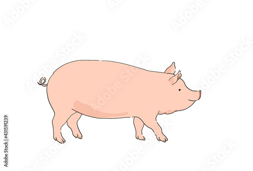 豚のイラスト-線画・手描き