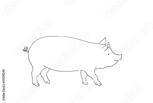 豚のイラスト-線画・手描き