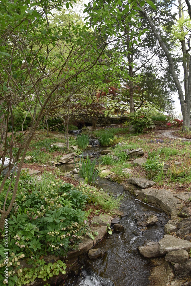 A stream rushes through a beautiful park A stream rushes through a beautiful park