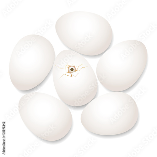 Hatching baby chicken peeping out of the broken eggshell, surrounded by intact eggs. Symbol for courage, grit, mettle, bravery, hurry, rush or haste. Vector illustration on white.
