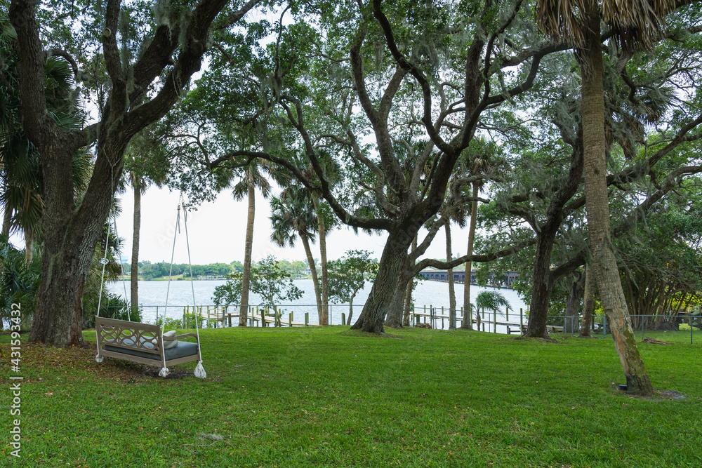 Wooden bench tied to an old oak tree in a backyard overlooking the river Wooden bench tied to an old oak tree in a backyard overlooking the river