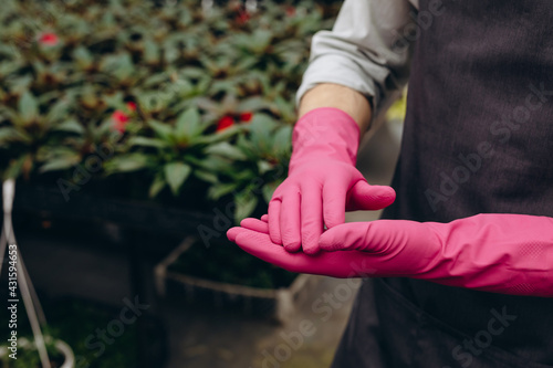 Gardener in gloves preparing flower seeds for planting.