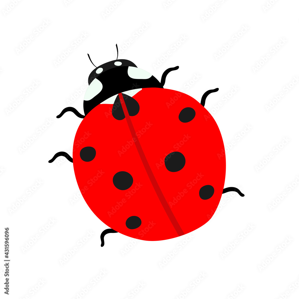 Fototapeta premium Vector illustration with a red ladybug, isolated element on a white background in a flat style. Vector illustration with insects