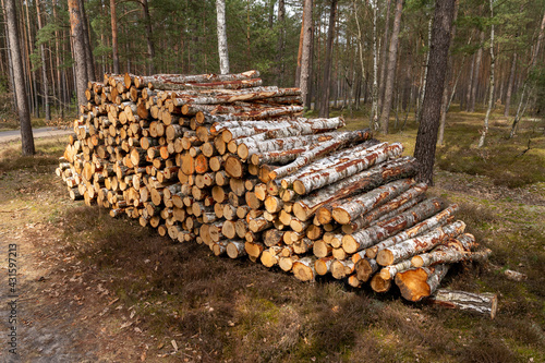 A pile of wood arranged along a forest road. Wood prepared for export.