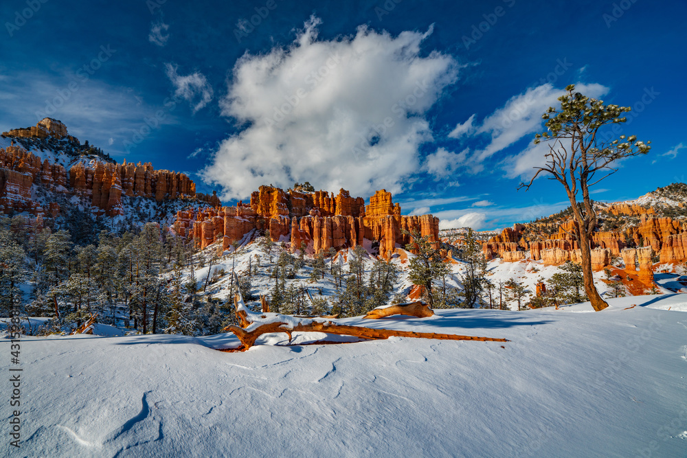 Sculpted Snow and the Hoodoos of Bryce Canyon