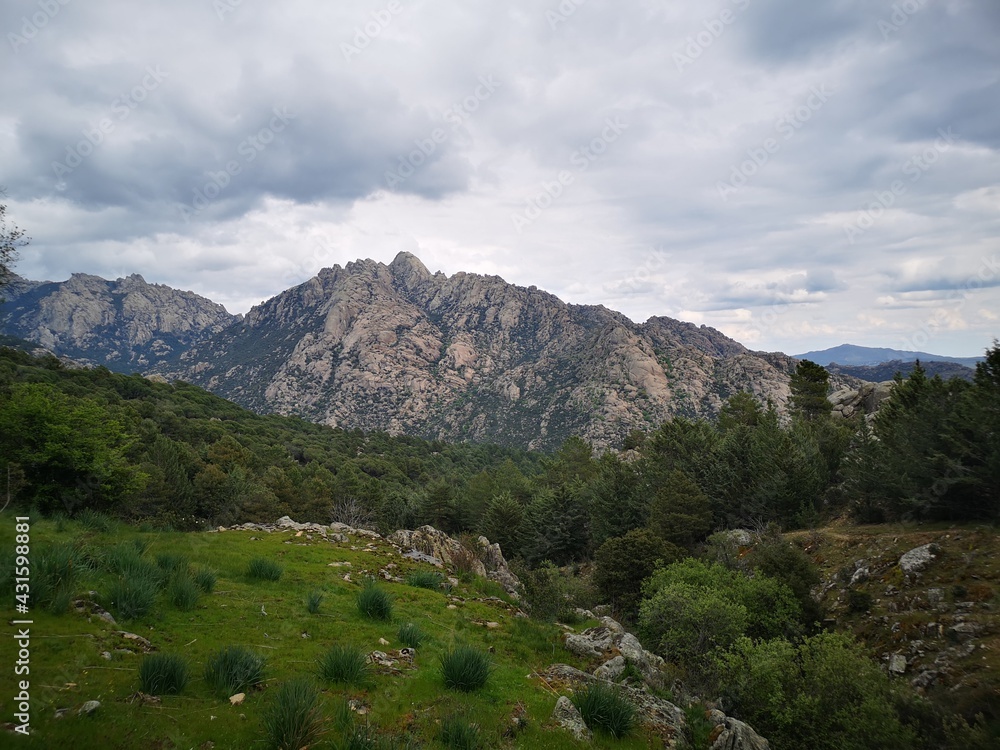 Fototapeta premium Madrid mountains and woods landscape