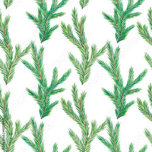 Watercolor fir tree branches pattern