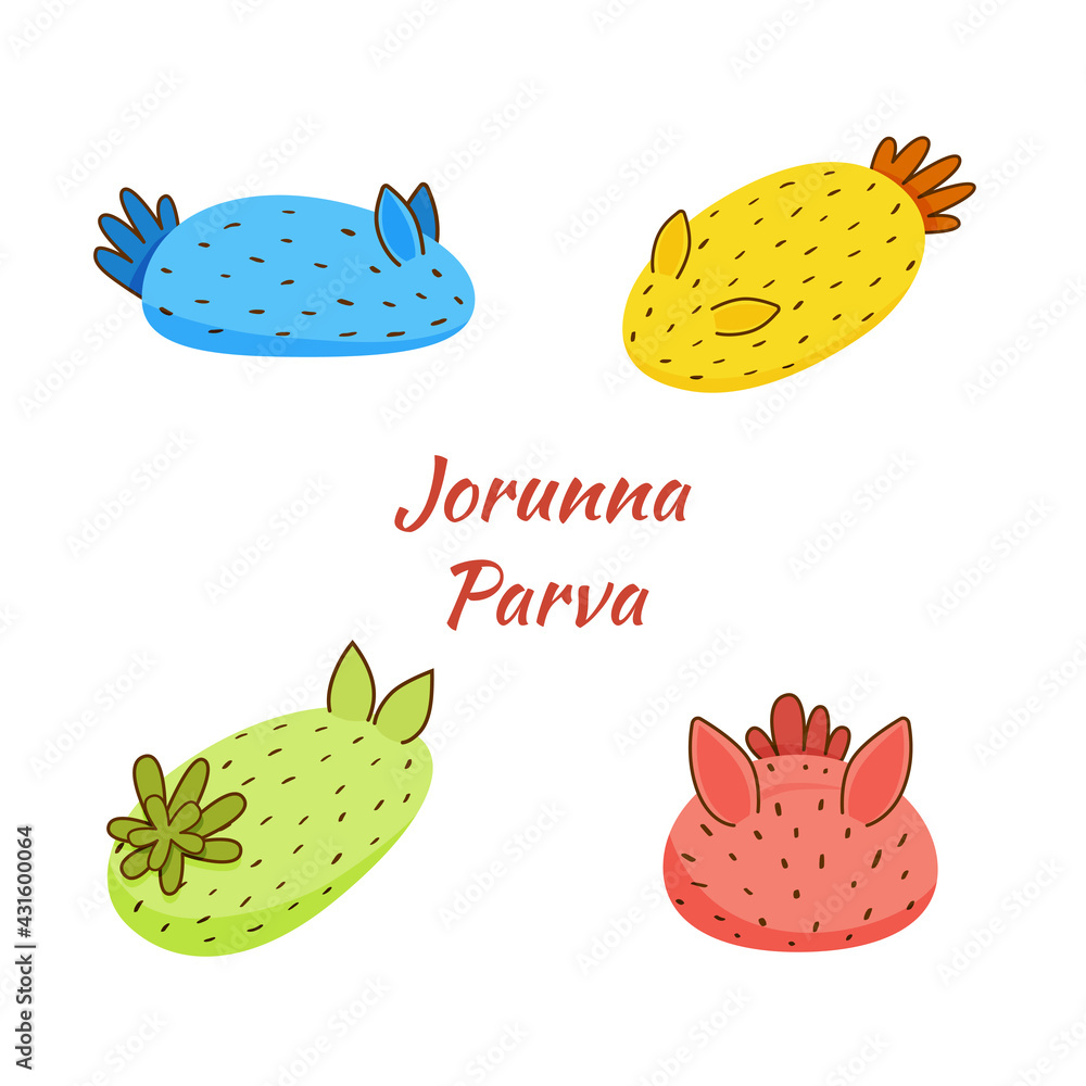 Jorunna Parva vector set. Cute colorful sea slugs isolated on white background