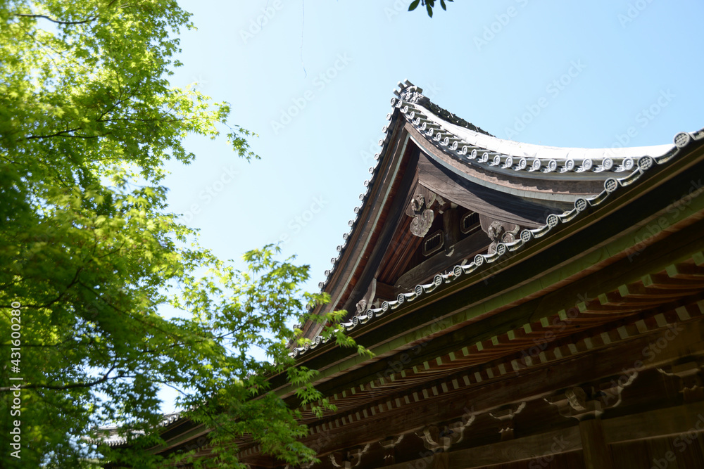 新緑の金蔵寺　本堂　京都市大原野