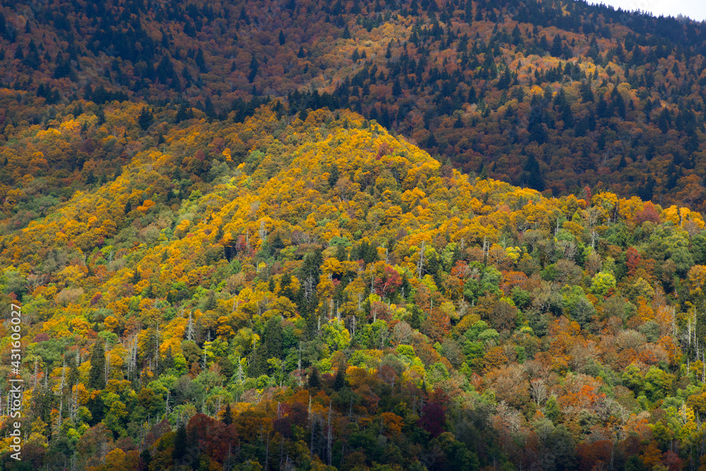 Mountain Landscape in the Fall Mountain Landscape in the Fall