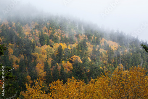 Mountain with fall leaves and clouds