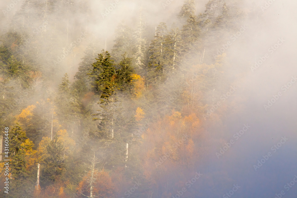 Mountain Morning with clouds