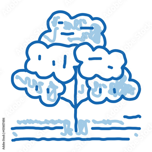 coffee tree doodle icon hand drawn illustration