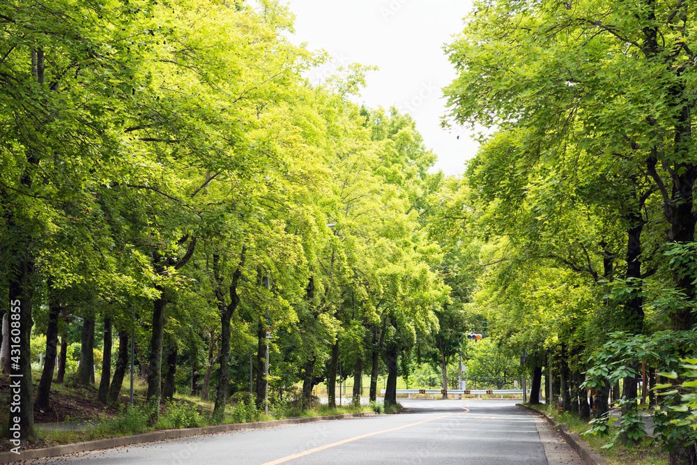 吹田市の三色彩道 吹田市の三色彩道