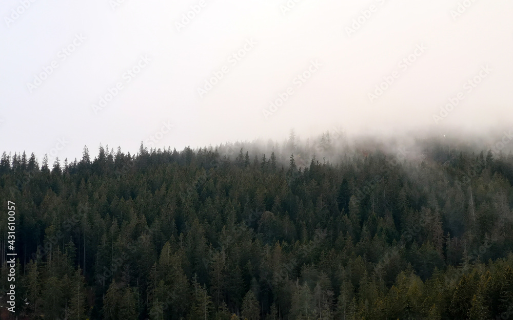 Berghang im Nebel