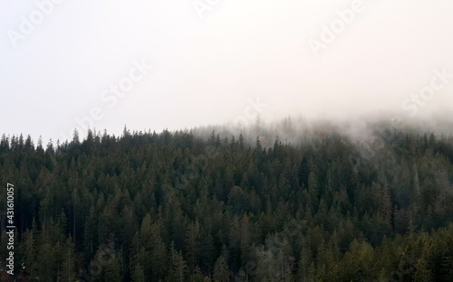 Berghang im Nebel