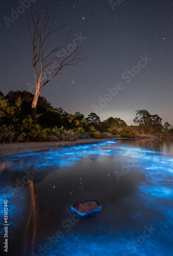 Foto Orion reflected in water with bright blue bioluminescence all around