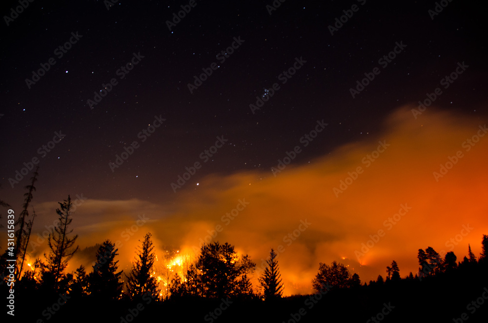 Forest Fire Under the Night Sky Forest Fire Under the Night Sky