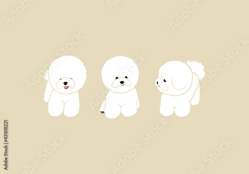 Fotografie Happy Dog