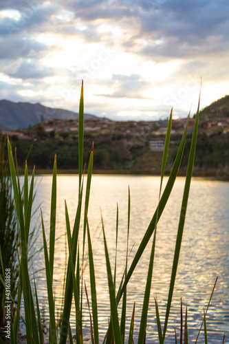 small lake in the country of Peru  place of vegetation