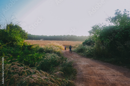 Forest path.