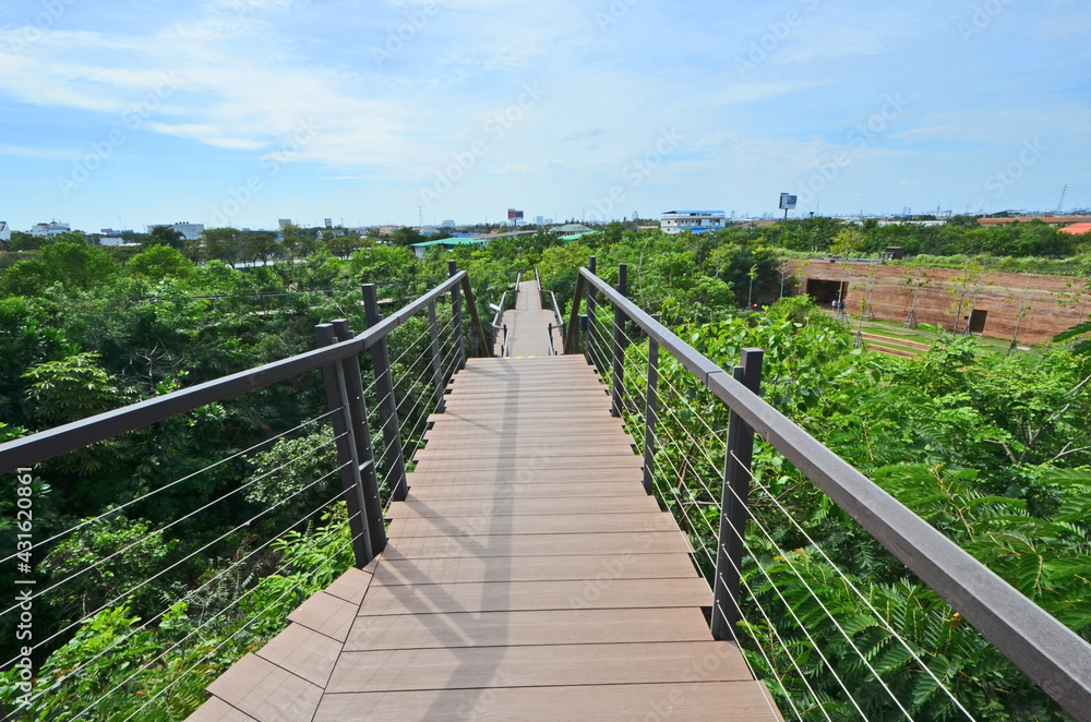 Long bridge with iron fence over the green forest