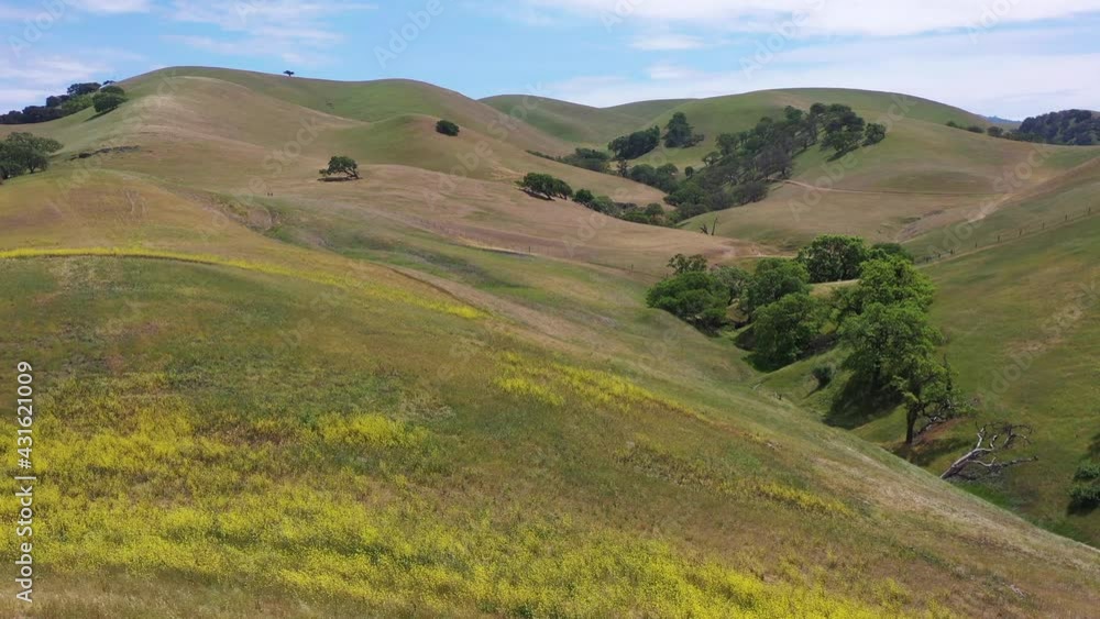 Scenic trails wind through the rolling hills of the Tri-valley, not far east of San Francisco Bay. This warm region of Dublin, Pleasanton, and Livermore harbors wineries and many scenic parks. Scenic trails wind through the rolling hills of the Tri-valley, not far east of San Francisco Bay. This warm region of Dublin, Pleasanton, and Livermore harbors wineries and many scenic parks.