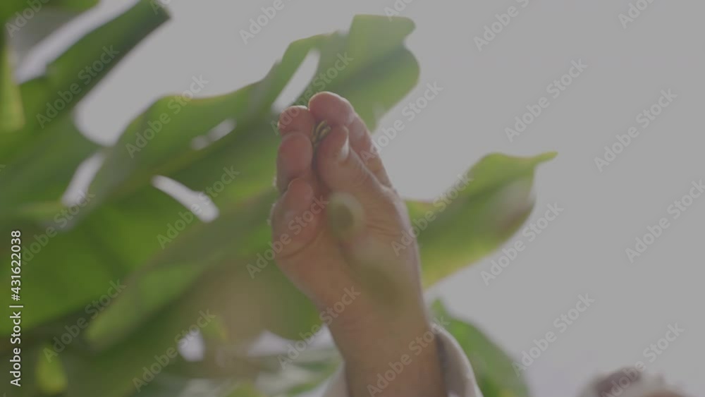 Chef hand adding seeds to dish. Preparing vegetarian meal with seeds.