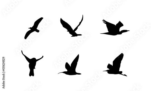 Collection of bird silhouette vector illustrations