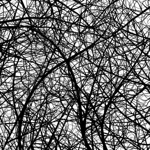 root abstractroot abstract