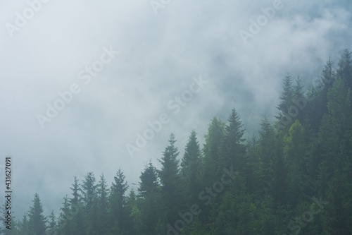 Beautiful scenery of the Carpathian Mountains on the Rodna ridge in Romania