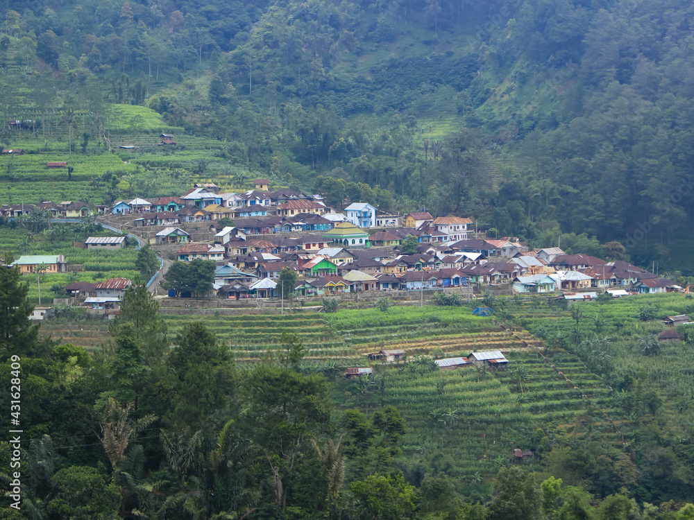 houses in a rural valley stand neatly, with a peaceful view of rice fields, mountains and forests.