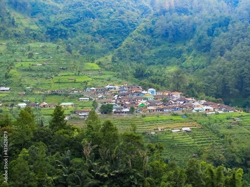 houses in a rural valley stand neatly, with a peaceful view of rice fields, mountains and forests