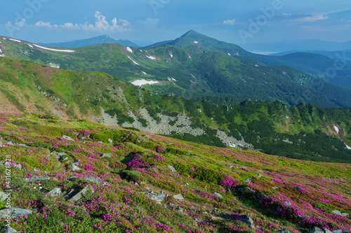 Beautiful summer landscapes of the Ukrainian Carpathian Mountains with blooming flowers, lakes and happy tourists