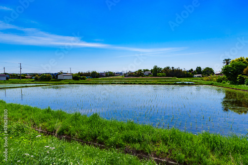 田園風景 米作り 稲作 田舎 【 初夏の田植えが終わった水田 】