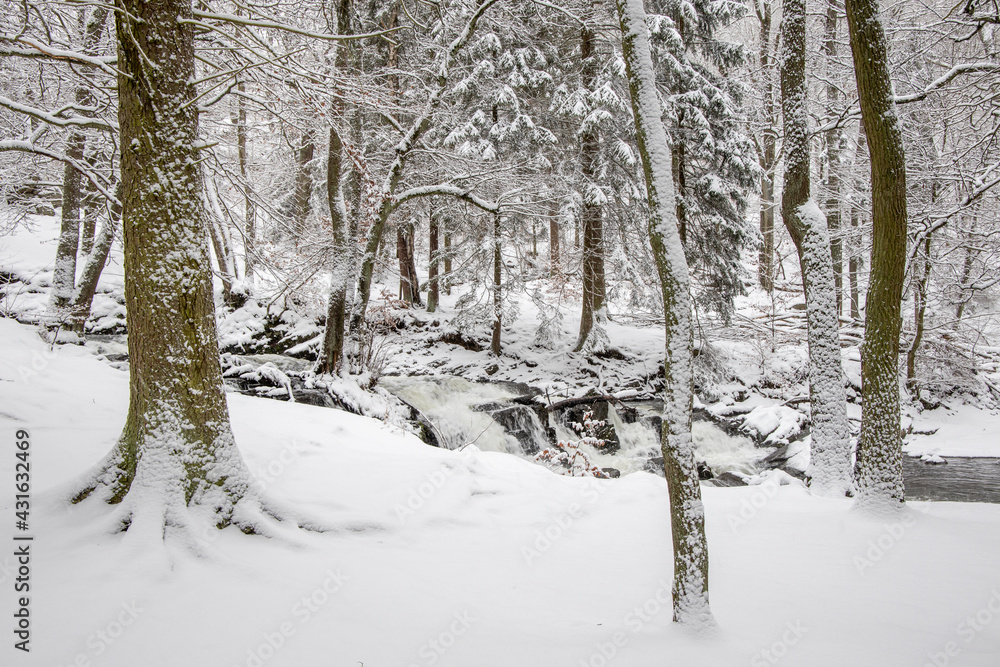 Winterlandschaft Harz Selketal Selke im Winter