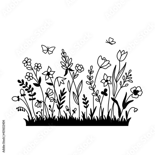 Field with grass, wildflowers and butterfly.