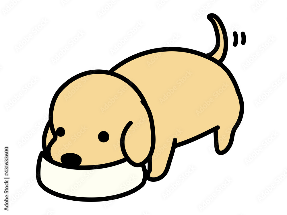 餌を食べる犬 レトリーバー 餌を食べる犬 レトリーバー