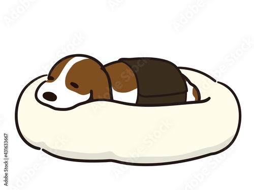 ペットベッドで休む犬　ヘルニア　コルセット