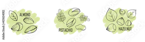 Nuts color line icons set. Nuts are the hard-shelled fruit of certain plants. Cashew, hazelnut, almond, walnut, peanut, pistachios. Vector illustration in cartoon flat style.