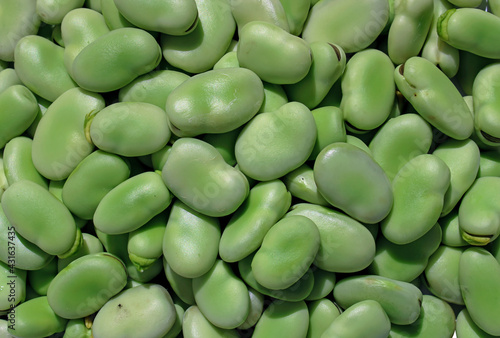 Foto Fava beans (Vicia faba),faba beans, broad beans