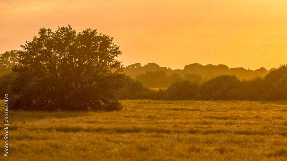 Orange sillhouette sunset over grassland river valley