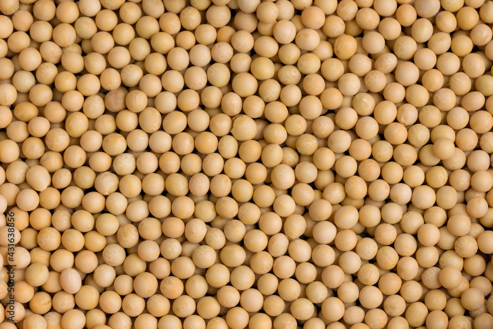 Top view Soybean pattern as for background Top view Soybean pattern as for background