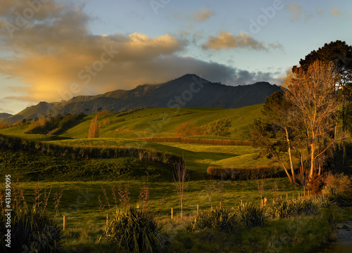 Rolling farmland in the early morning photo