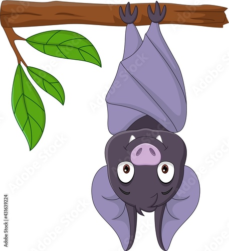 Cartoon cute bat hanging on the branch