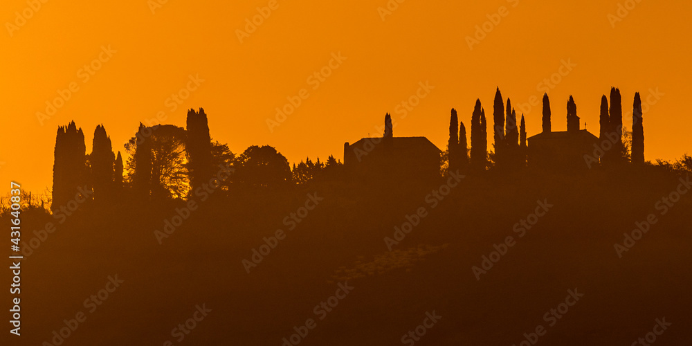 Silhouette Cypress landscape tuscany